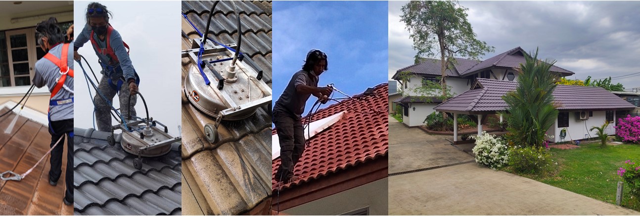 Roof painting service
